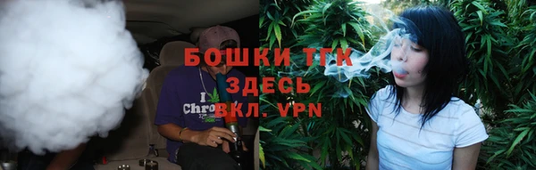 индика Абинск