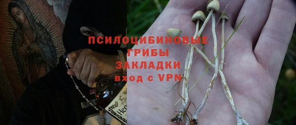 шишки Абдулино