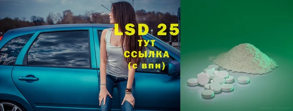 индика Абинск