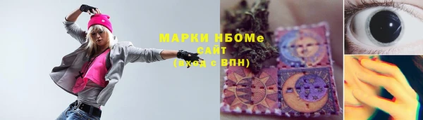 индика Абинск