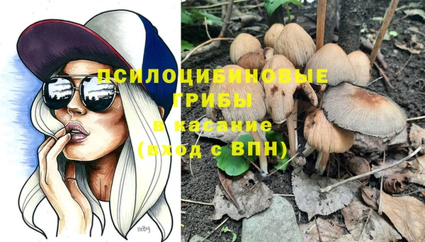 дживик Абаза