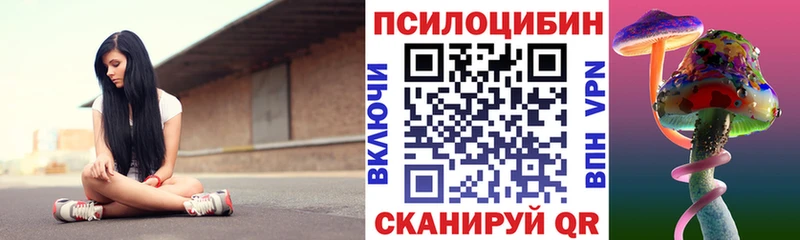 закладки  Зерноград  Псилоцибиновые грибы мицелий 