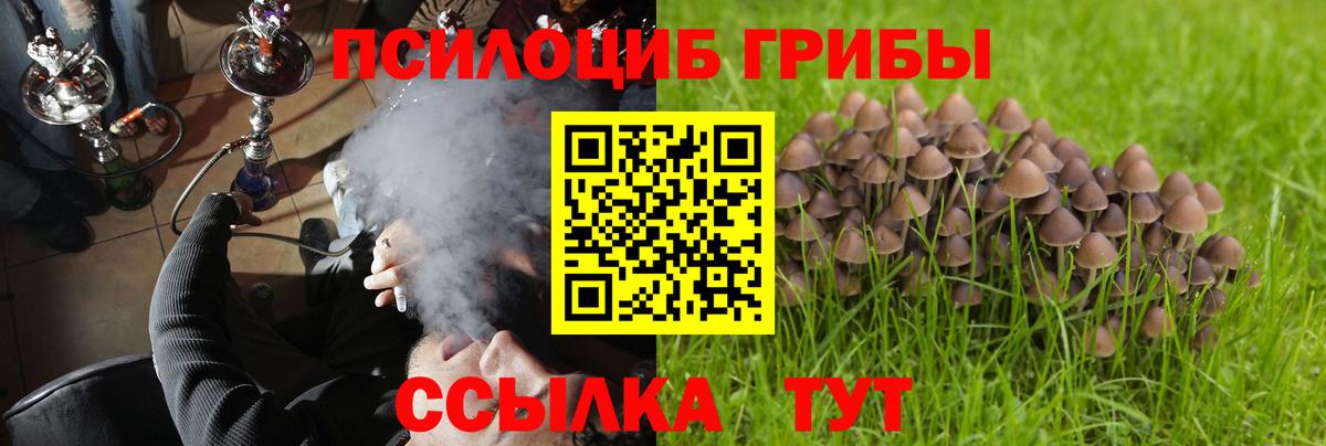 Зерноград  Галлюциногенные грибы прущие грибы  Вход с VPN 
