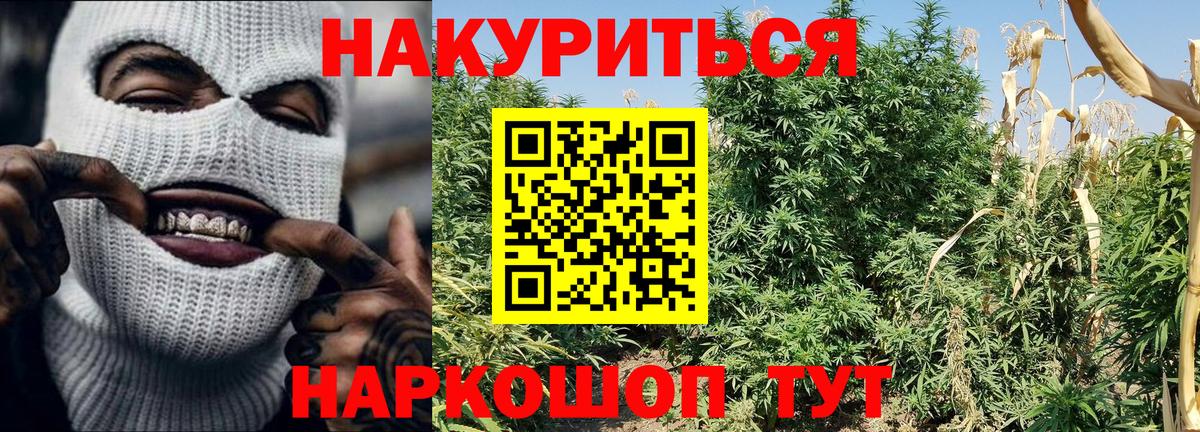 Бошки марихуана индика  Вход с VPN  Зерноград  Марихуана LSD WEED  Бошки Шишки сатива  Бошки марихуана Bruce Banner 